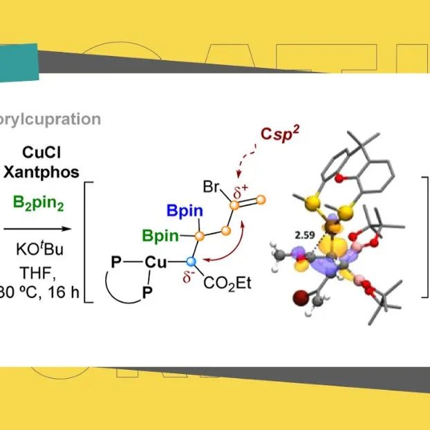 【ACS Catal.】CuCl/Xantphos催化体系实现化学选择性硼化反应