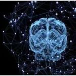 文献精译｜支架联合球囊辅助弹簧圈栓塞治疗颅内宽颈分叉部动脉瘤的安全性、有效性与持久性