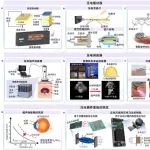 交大，《科学》发文！