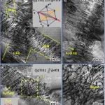 西安交通大学韩卫忠教授团队《Nano Letters》多元结驱动体心立方HfNbTiZr高熵合金塑性