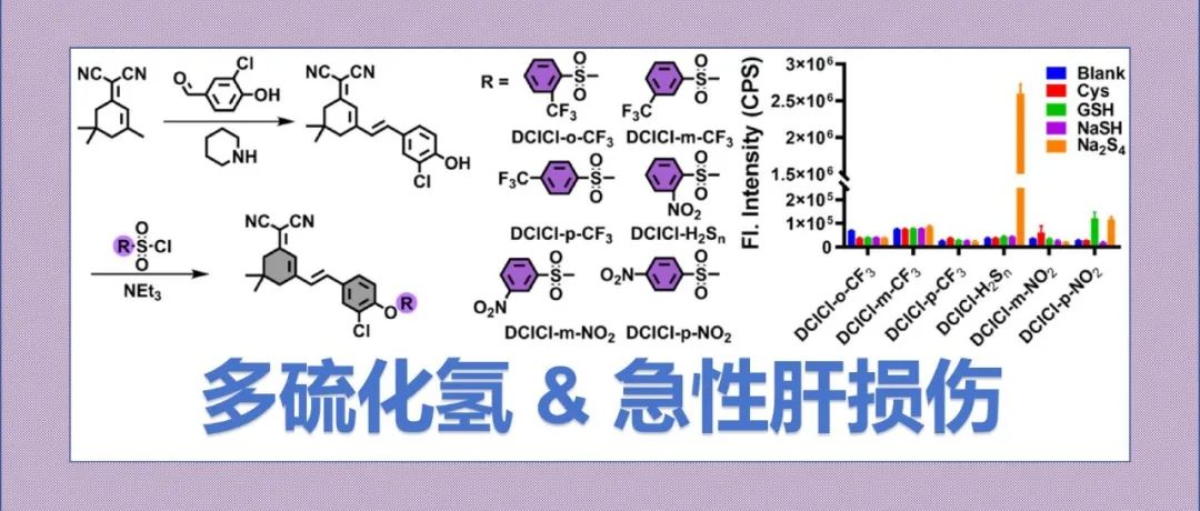 文献分享|用于急性肝损伤中多硫化氢成像的近红外荧光探针的分子优化