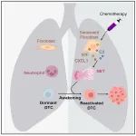 Cancer Cell丨胡国宏团队首次证实，化疗会唤醒休眠癌细胞，导致癌症复发转移！