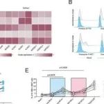Nature Commun丨复旦大学陈海泉等团队研究发现促炎MC通过NLRP3-IL-18轴激活MAIT细胞抗肿瘤功能