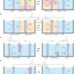 以色列理工学院Nature Reviews Clean Technology综述：去耦合与无膜水电解技术及其前景