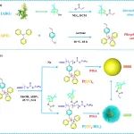 西北师范大学王荣民、宋鹏飞教授团队 Macromolecules：兼具抗菌和抗生物膜功能的攻防一体聚（季鏻盐-冰片）抗菌材料