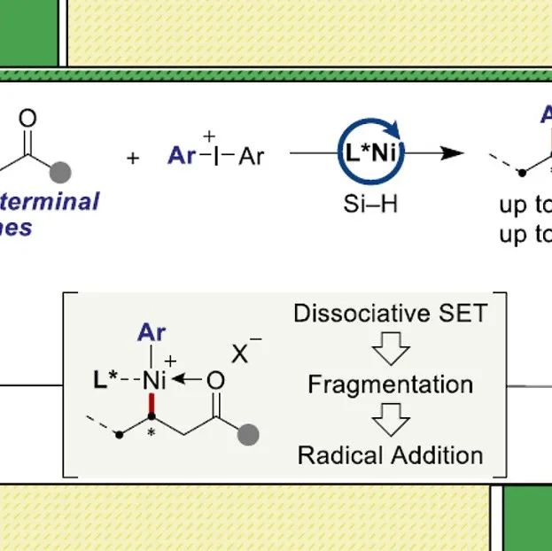 【Angew. Chem.】Sungwoo Hong团队：二芳基碘鎓盐作为双功能试剂，首次实现非活化烯烃的对映与区域选择性氢芳化