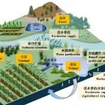 东北地理所发表流域生态系统多水文功能性及其对农业水安全影响综述