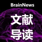 Nat. Commun.：工作记忆负荷增加时内嗅皮层的枢纽作用及其任务表现特征