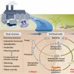 中科院生态中心朱永官、华中农大刘玉荣等Nat. Ecol. Evol.：土壤多重环境胁迫生态效应方向的系列进展