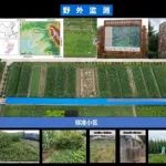 东北地理所在黑土区植被过滤带效率调控机制研究方面取得进展