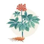 《食品科学》：西南林业大学何霞红教授、王振兴副教授等：体外模拟消化对三七叶化学成分、功能活性及皂苷变化的影响