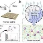 Nature Commun丨华东师范大学万晶晶等团队研究发现血清代谢分析可以诊断、预后和监测脑干胶质瘤