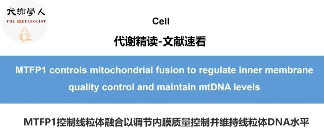 【视频号】Cell：线粒体“质检员”：抑“融”显神功（附文字版链接）
