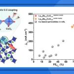 【Angew. Chem.】中国科学院青岛能源所朱佳伟: Cu基钙钛矿非对称CuO&#8325;-CuO&#8326;位点促进不对称C-C偶联