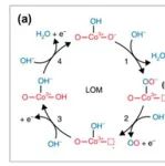 华算科技王牌讲师强强联合！MS+VASP催化计算：LDH+MXene催化OER+CO2RR+PMS，吉布斯自由能，电子性质等！