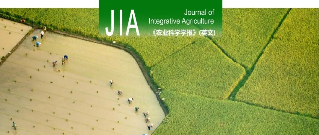 JIA｜华南农业大学兰玉彬教授课题组关于高光谱重建技术对水稻生理参数定量反演影响的研究