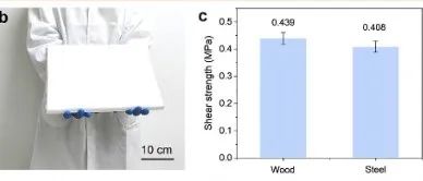 四川大学《AM》：低碳泡沫状气凝胶，用于辐射冷却、防火/恶劣环境