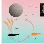 南昌大学《Langmuir》：石墨烯/硅/碳复合材料，用于锂离子电池