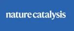 南京大学&厦门大学，Nature Catalysis！