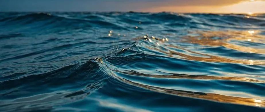 厦门大学汤凯团队Trends in Chemistry综述丨海洋生物地球化学中隐藏的分子手性
