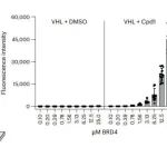 Nat. Chem. Biol. | 一种用于半胱氨酸双加氧酶1的VHL分子胶降解剂