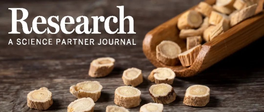 Research|首次证实中药黄芪活性成分毛蕊异黄酮可缓解自身免疫性疾病并重塑免疫平衡—上海中医药大学吴晓俊团队新进展
