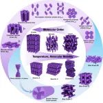 清华深研院刘思捷/福州大学郑云/港科大Kristiaan Neyts最新EES batteries：液晶黑科技开拓锂电新局面
