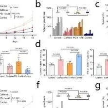 Nature子刊丨咖啡再添好处！南方医科大学邓海军等团队发现咖啡因可以增强结直肠癌中的PD-1免疫治疗