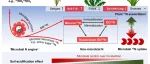 Ecology | 韩兴国/姜勇团队发现土壤酸化加强土壤微生物氮固持，抑制草地氮损失