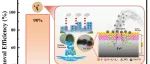 湖南工业大学朱博洪等JHM：揭示硫化纳米零价铁中FeSx层硫物种对铊(I)去除的影响机制