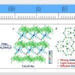 【Nat. Commun.】同济大学费泓涵/张弛：Ru(bpy)&#8323;插层的层状卤化铅用于光催化CO&#8322;还原研究