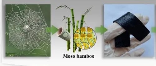 北京林业大学《生物大分子》：受蜘蛛启发的C-多壁碳纳米管/PVA/DB复合材料，用于柔性电子产品