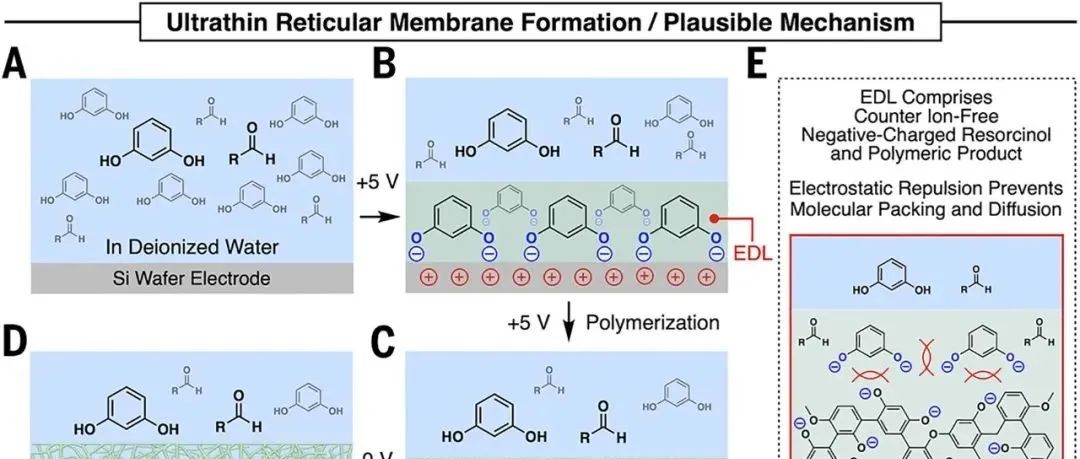 Science: 类丝瓜络结构的超薄交联聚合物膜制备 - 东大相田卓三教授、伊藤喜光教授