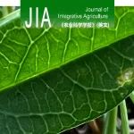 JIA | 2023–2025年「植物病害防治」论文合集
