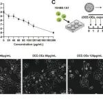 Adv Sci丨青岛大学赵艳洁研究揭示了POLE缺陷在DEE诱导的肺癌细胞恶性转化中的关键作用