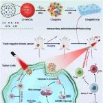 ACS Nano | 郑州大学/复旦大学黄容琴研究发现纳米复合物CDs@BSA加入水凝胶中可抑制三阴性乳腺癌复发