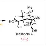 厦门大学陆钊洪教授团队：克级制备倍半萜天然产物 Illisimonin A