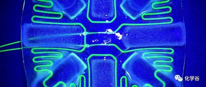 常州大学陈铭团队：一种新颖的远程C–F键重构策略