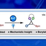 【JACS】通过硼促进的环异构化反应合成硼化的孤立环丙烷