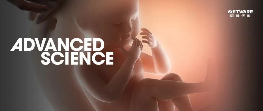 Adv Sci | 妊娠期糖尿病竟如此关键！单细胞+空间转录组揭示母体妊娠期糖尿病如何影响胎儿胰腺发育