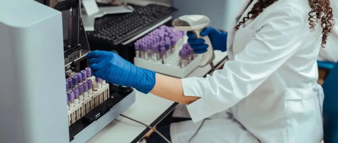 将女性皮肤细胞转化为精子：日本学者正全力推进该技术，称将在数年内成真 | 科研圈日报