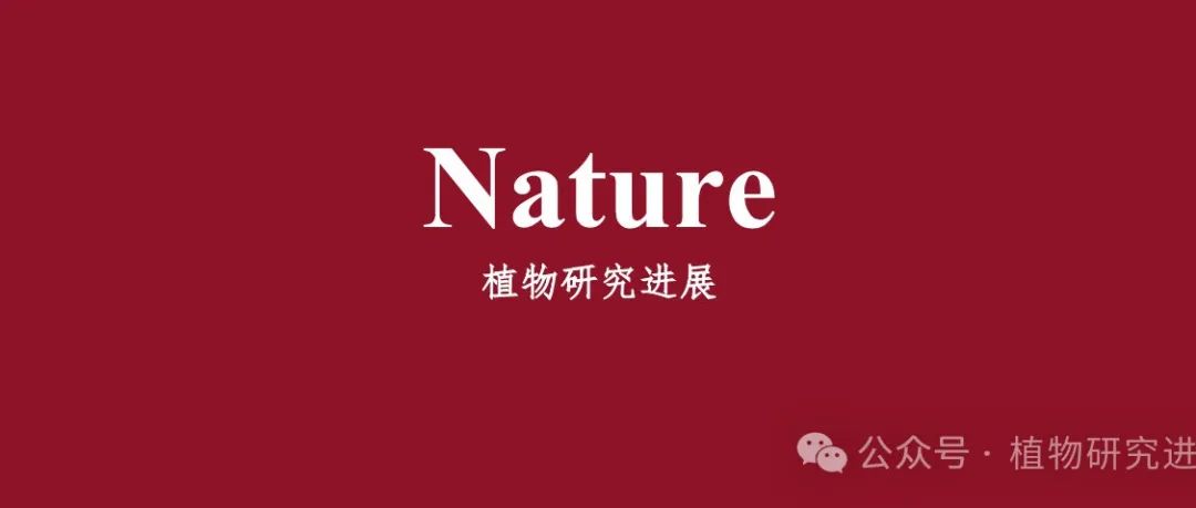中国农业科学院最新Nature