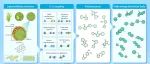 The Innovation Energy | 从木质纤维素衍生物生产可持续高能量密度航空燃料