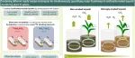 土壤氮转化丨SOIL BIOL BIOCHEM：不同土壤侵蚀程度对总氮转化过程和气态氮损失的影响：一项培养研究