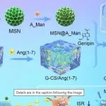 Adv Sci丨山东大学魏志坚等团队研究发现G-CS/MSN 能有效促进 NP 的再生和修复