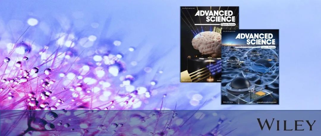 南航 胡晓玉AS：基于具有聚集诱导发光特性的超分子水凝胶仿生人工叶片用于高效光催化