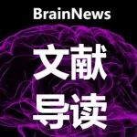 APSB：PRMT1蛋白减轻脑缺血再灌注损伤机制