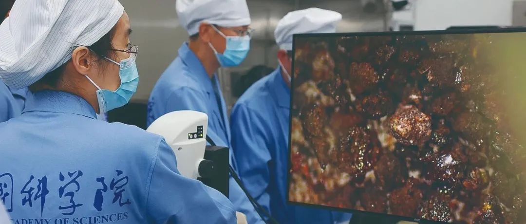 中国科学家打开月背“盲盒”！嫦娥六号样本研究4连发