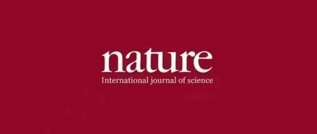 全球首例！“寒门女博士”独自连发Nature!在材料科学领域一战成名！