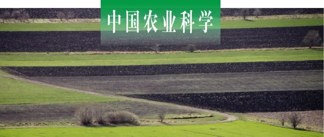 中国农业科学｜沈阳农大徐英德课题组分析黑龙江省嫩江市土壤容重空间分布格局及传递函数构建